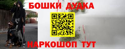 крисы Будённовск