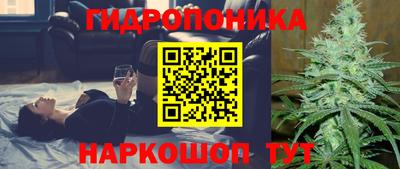 крисы Будённовск